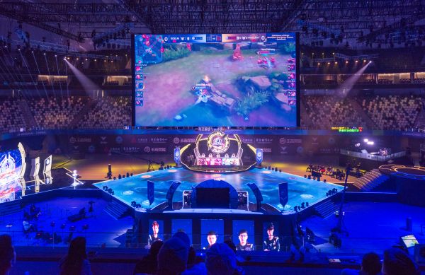 除了体育 除了体育